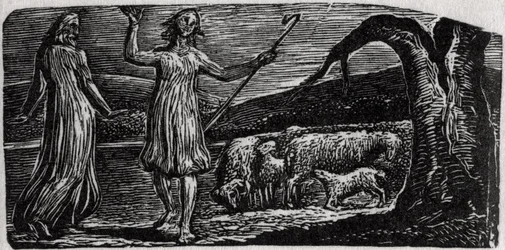 Thenot, mit Colinet, der seine Arme in Trauer schwenkt, Illustration aus Dr. Thorntons 